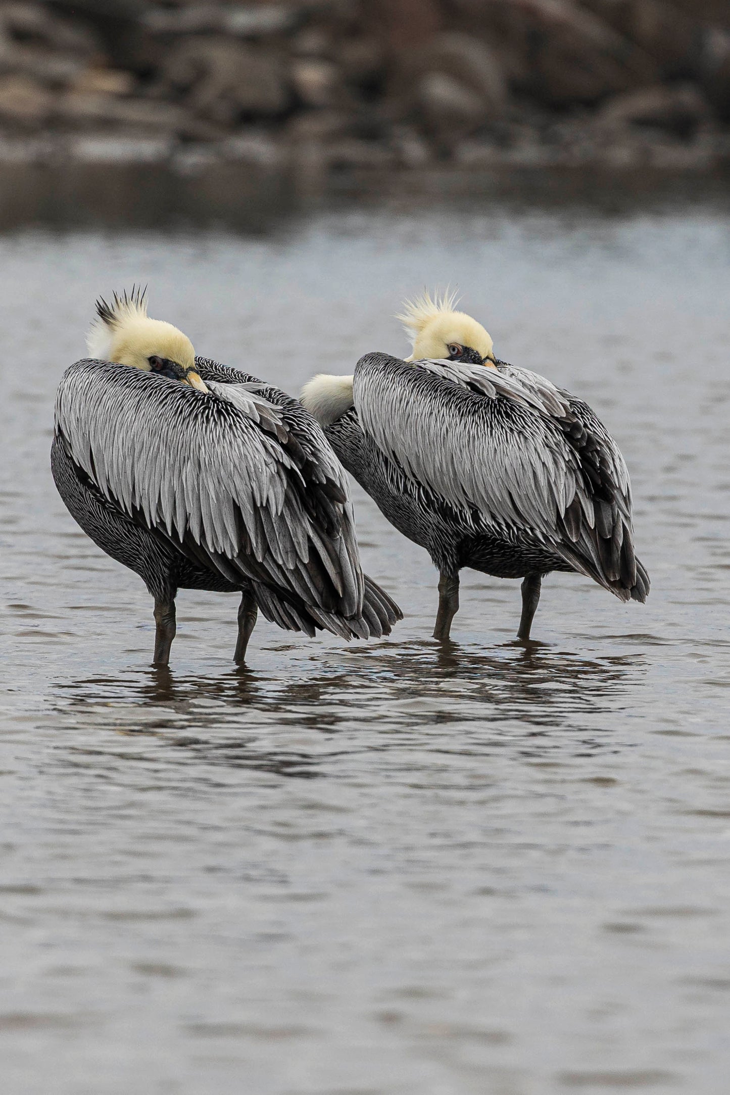 Misteriosos personajes