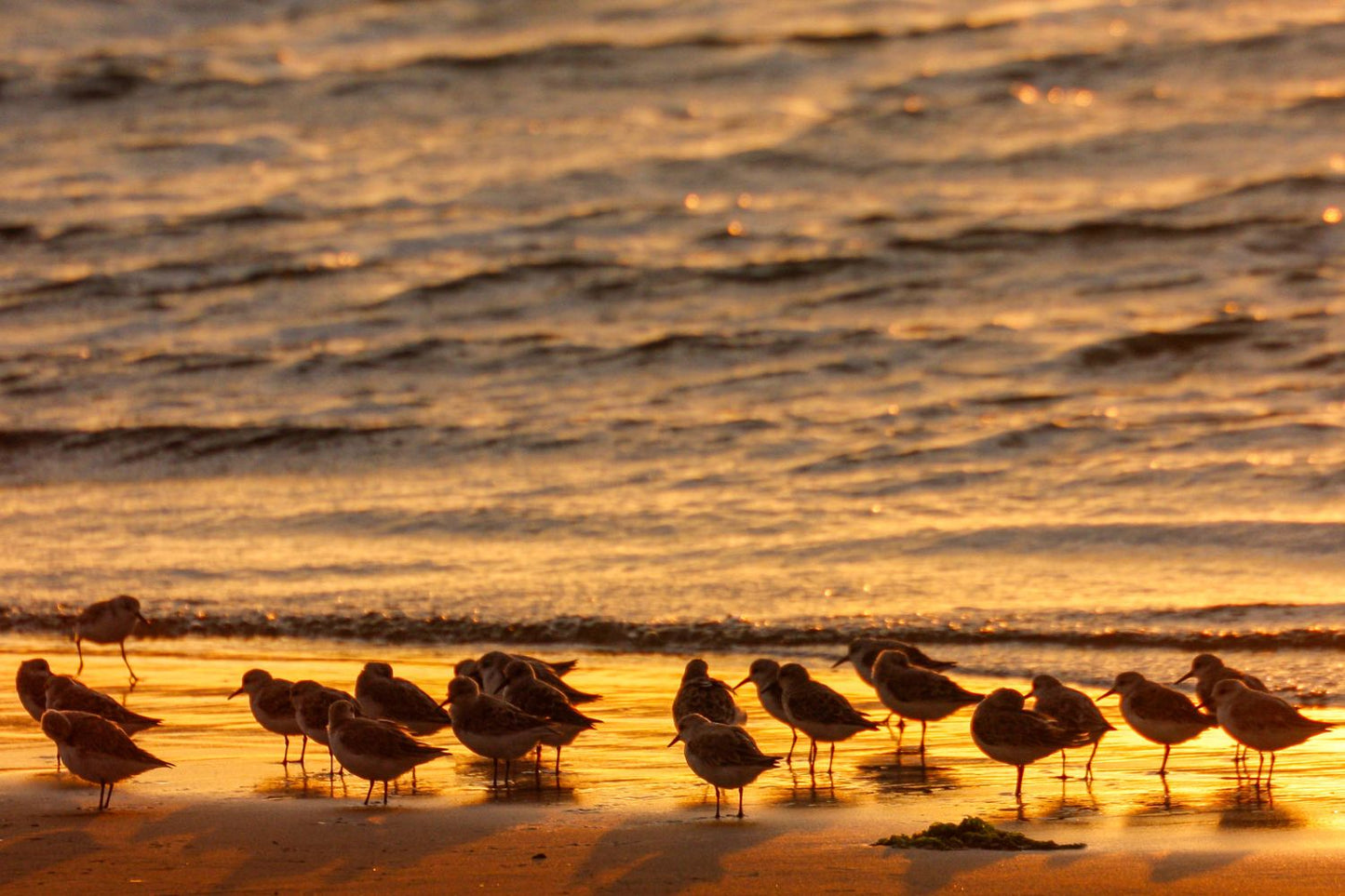 Atardecer en la playa