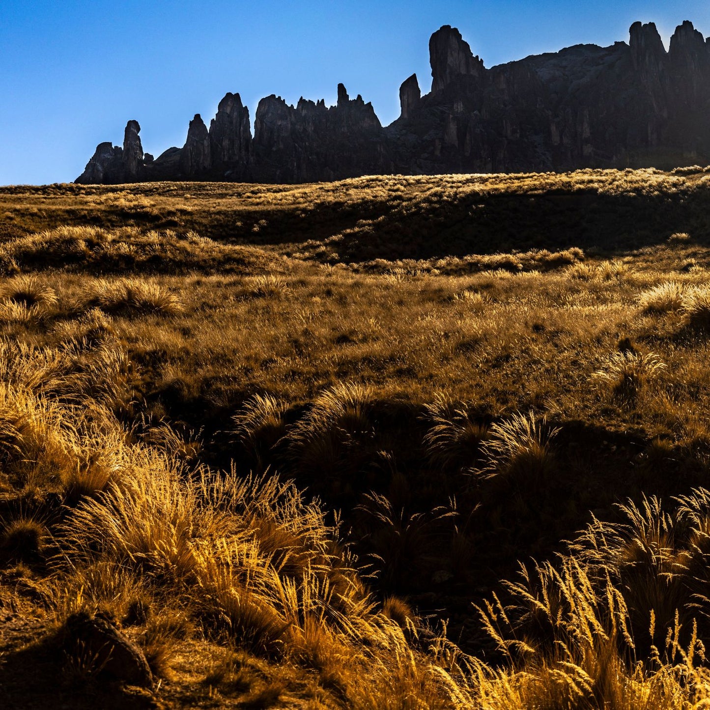 Bosque de Piedras Huayllay