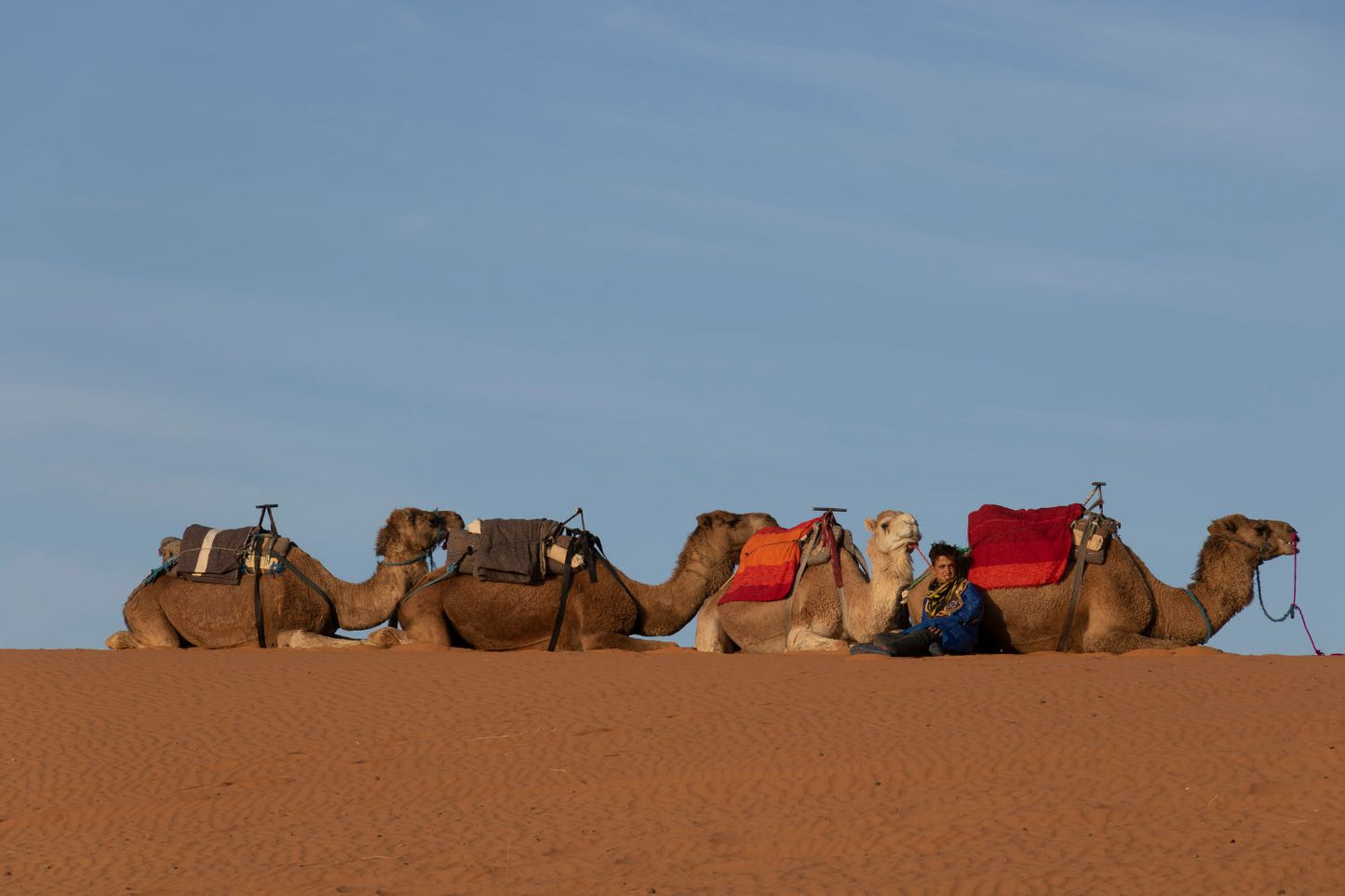 Desierto de Marruecos