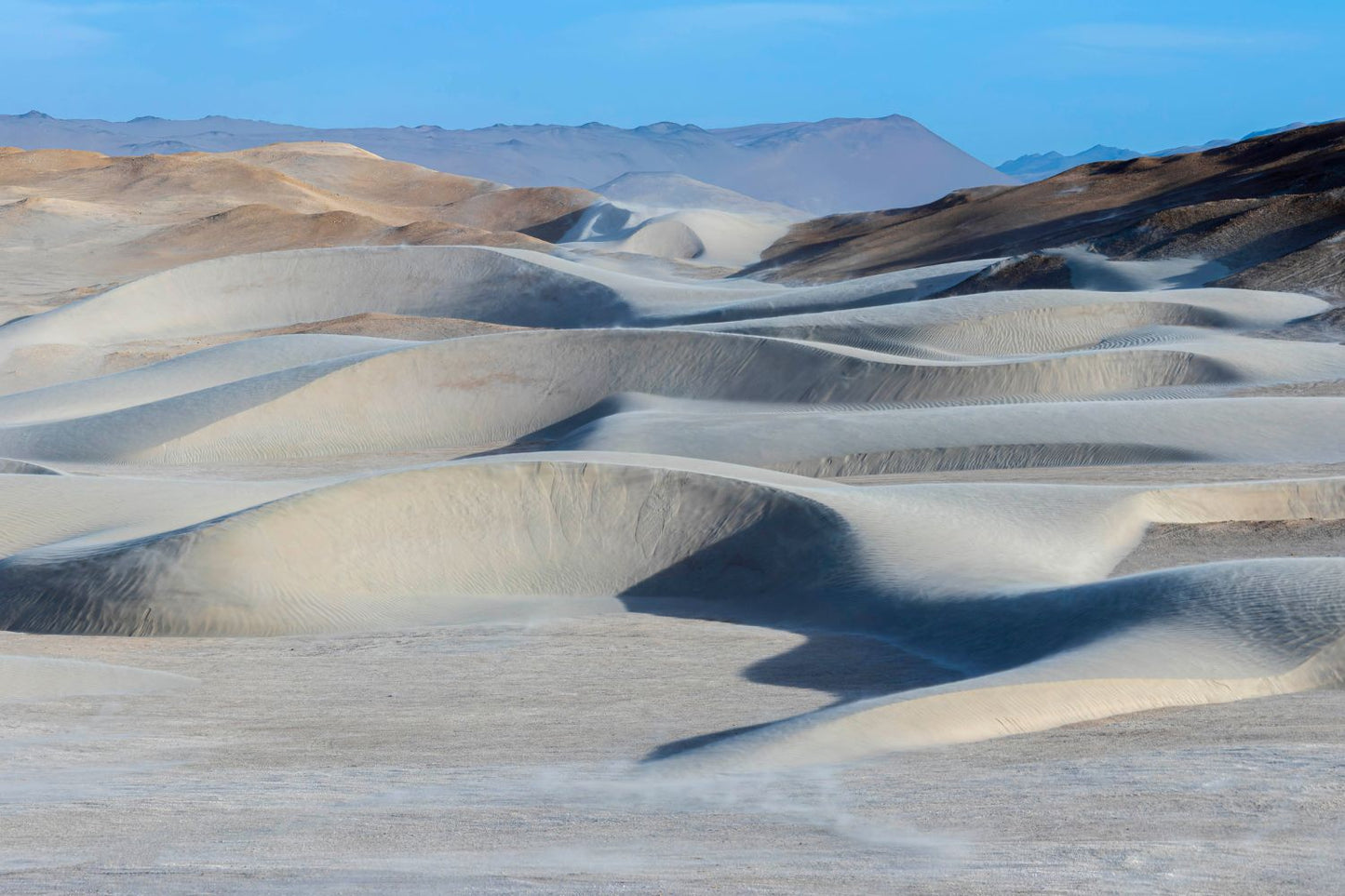 Dunas caminantes plateadas