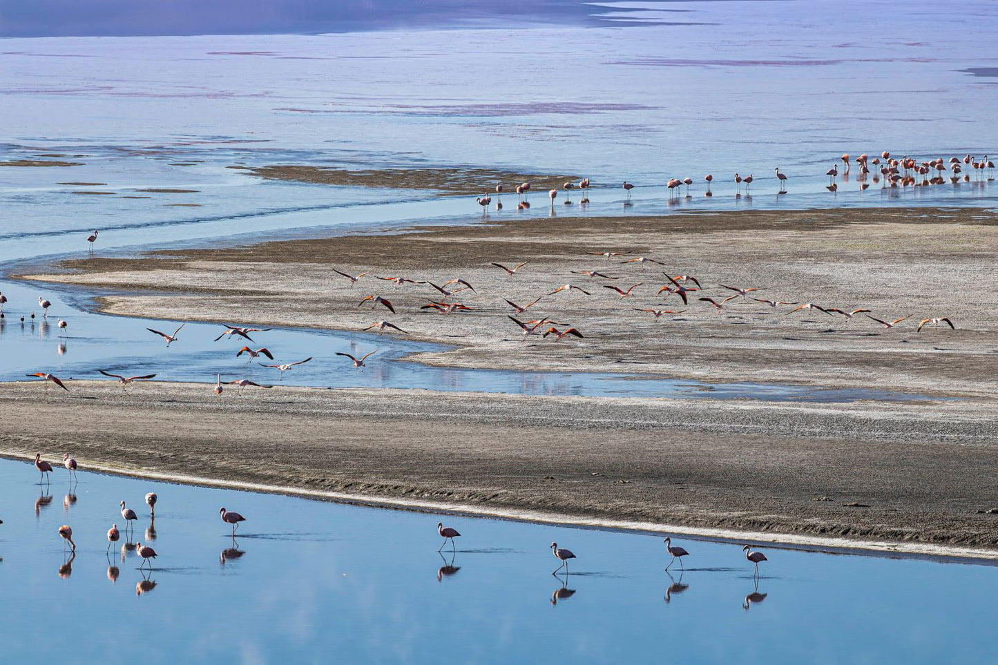 Laguna Uyuni