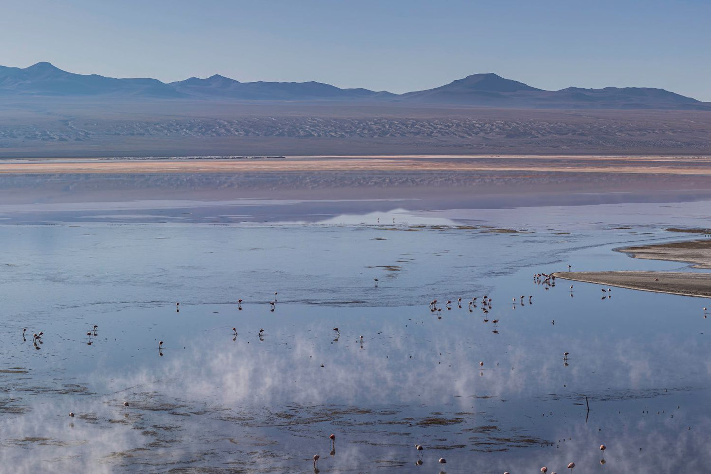 Laguna con flamencos Bolivia