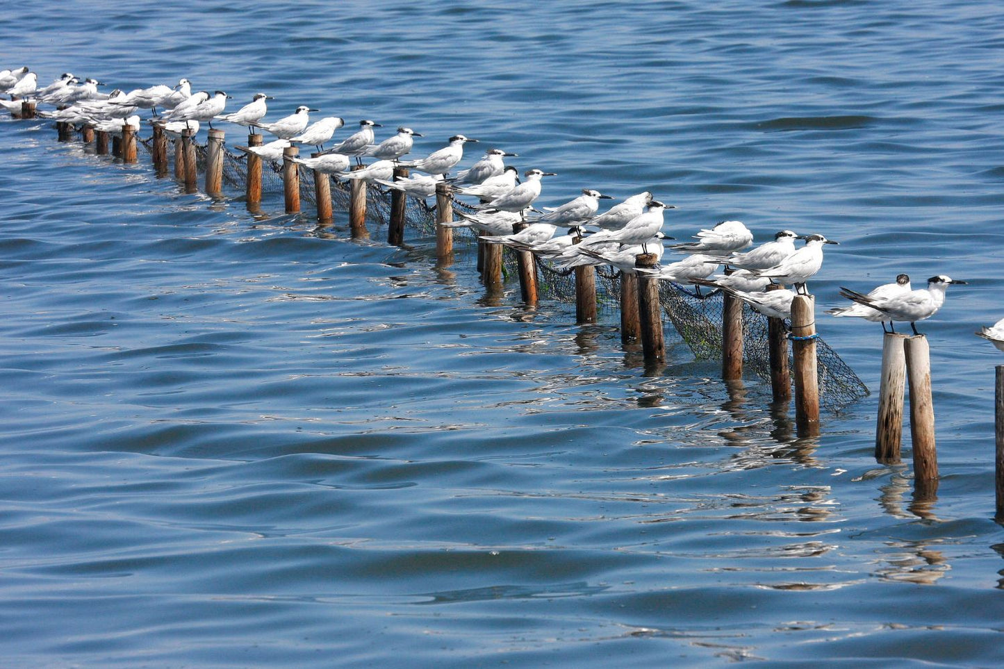 Mirando al horizonte