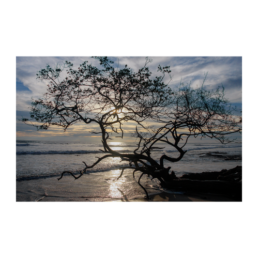 Contra luz Costa Rica