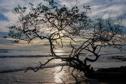 Contra luz Costa Rica