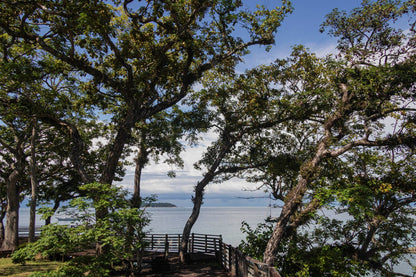Isla Contadora Panama