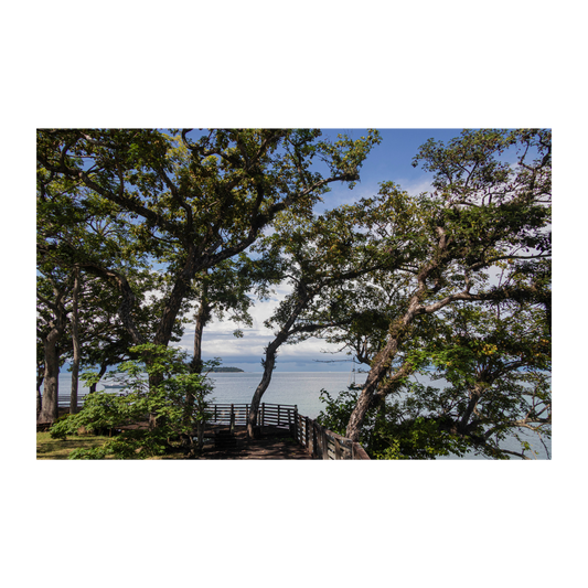 Isla Contadora Panama