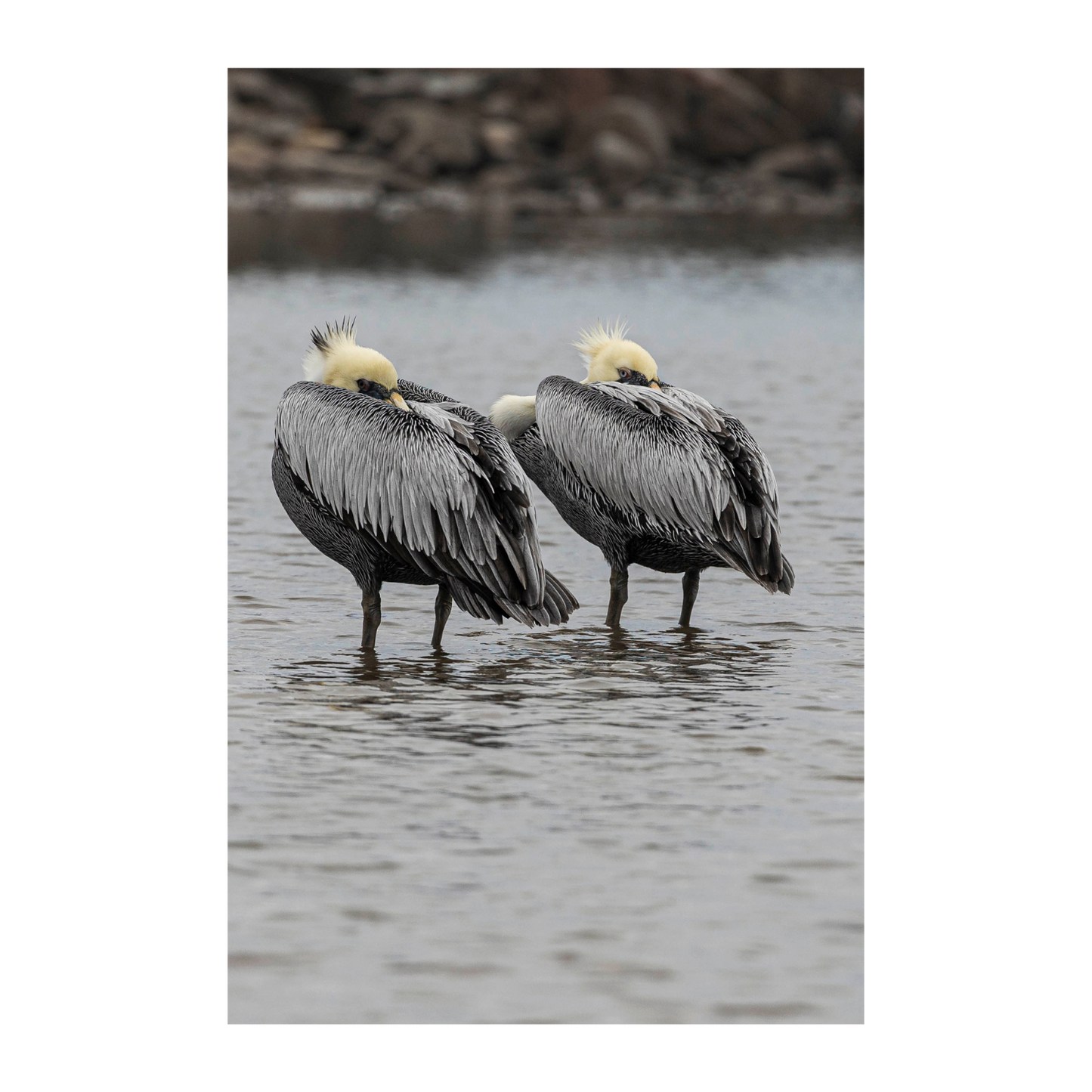 Misteriosos personajes