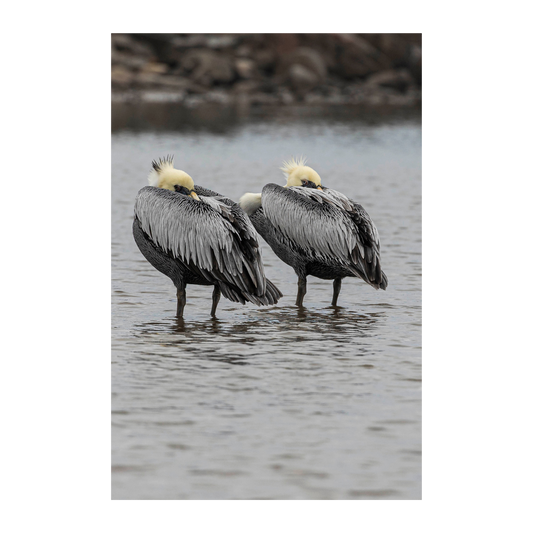 Misteriosos personajes