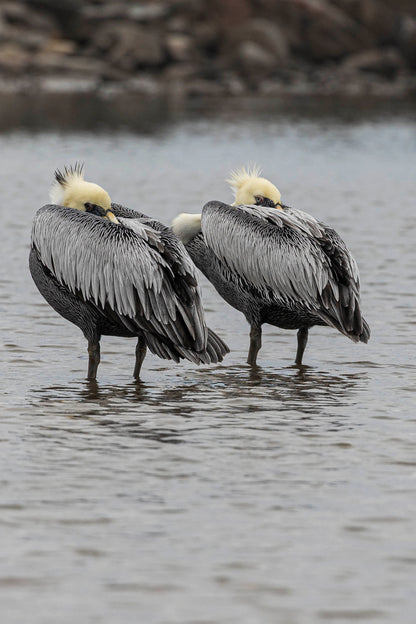 Misteriosos personajes
