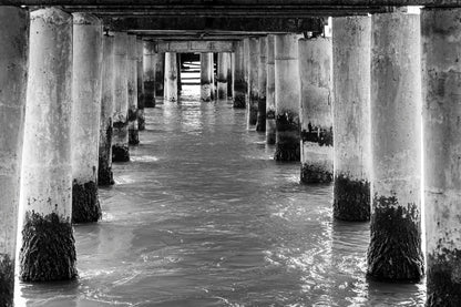 Muelle
