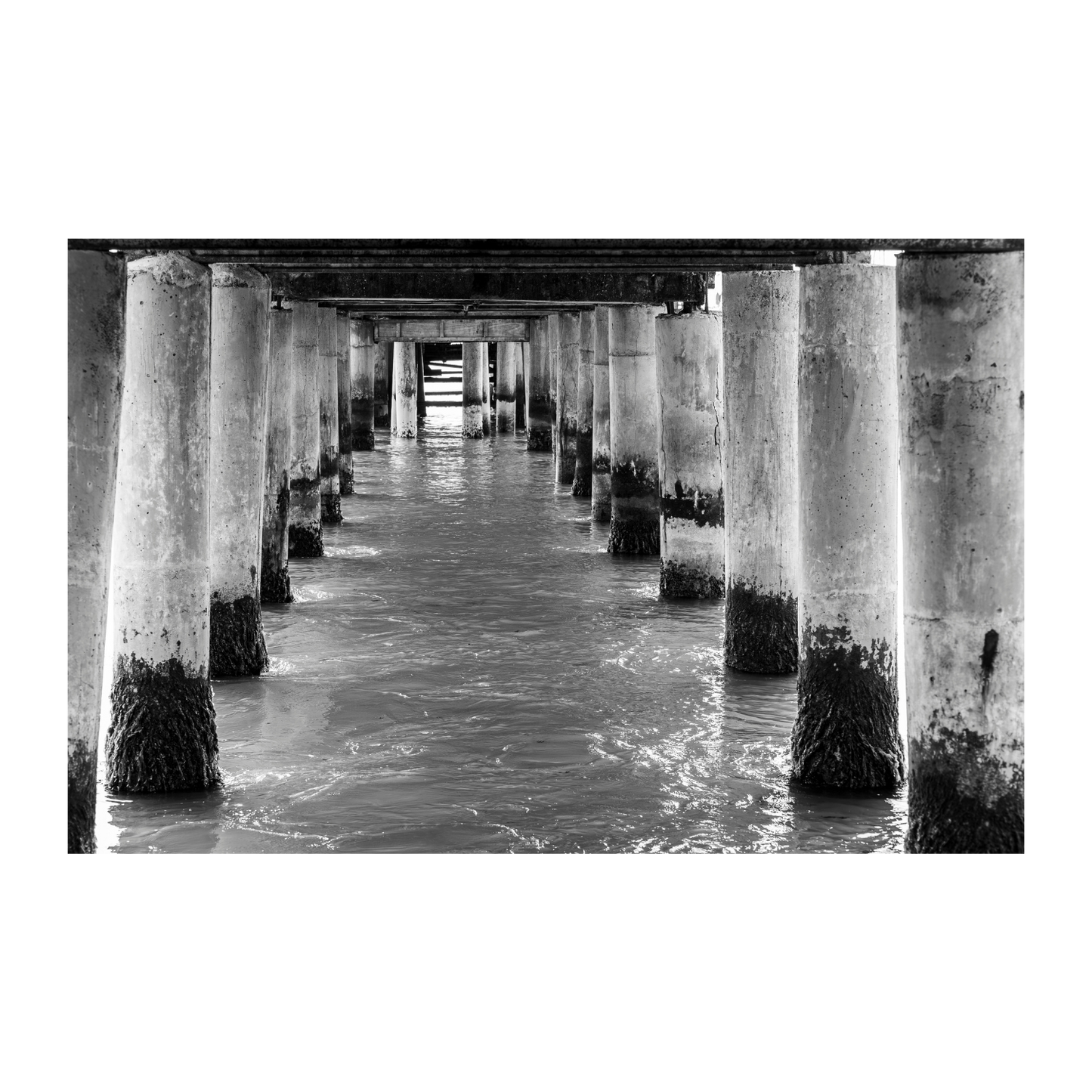 Muelle