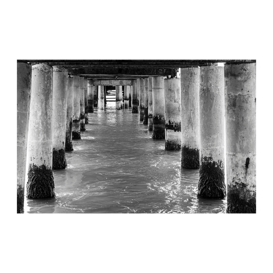 Muelle