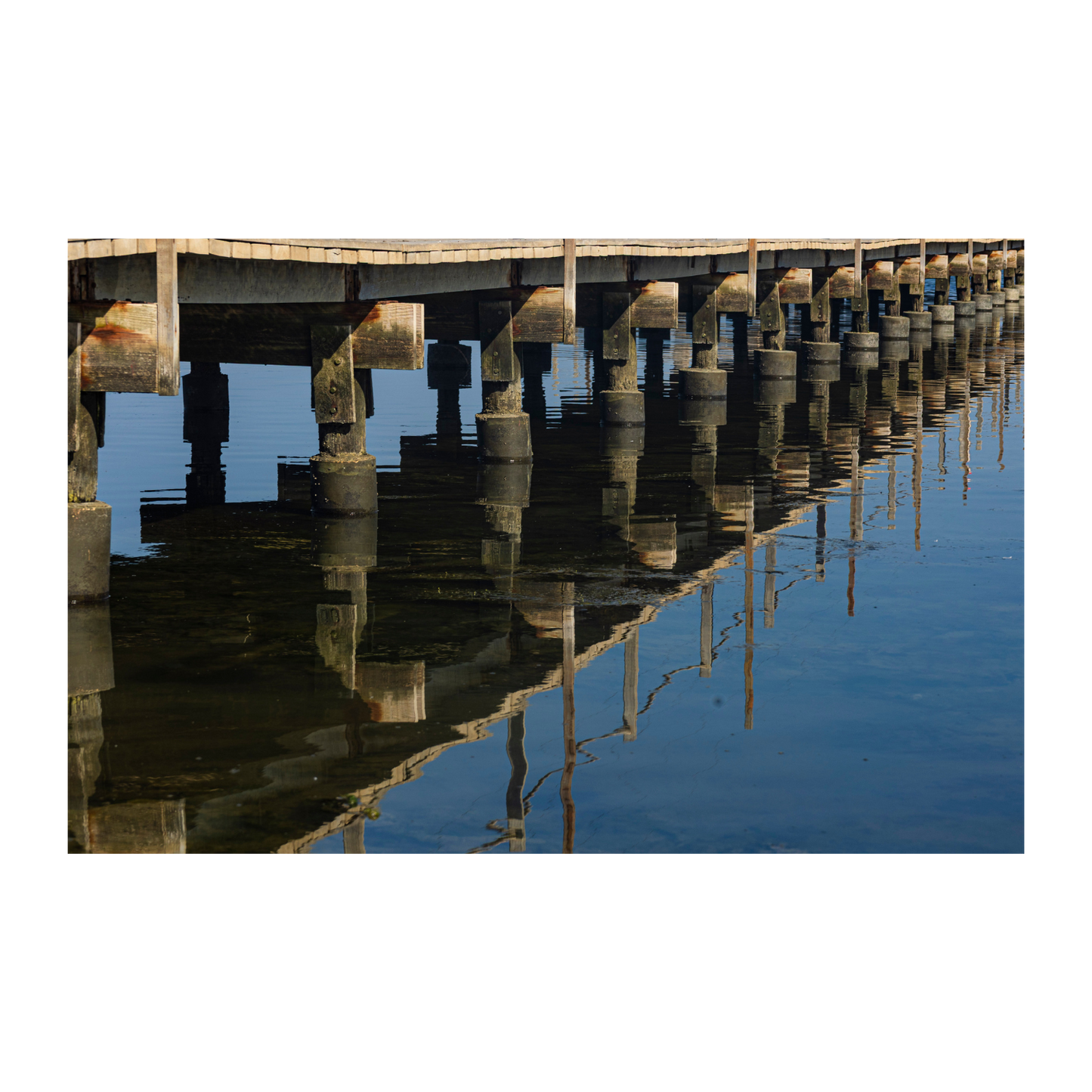 Muelle y reflejo