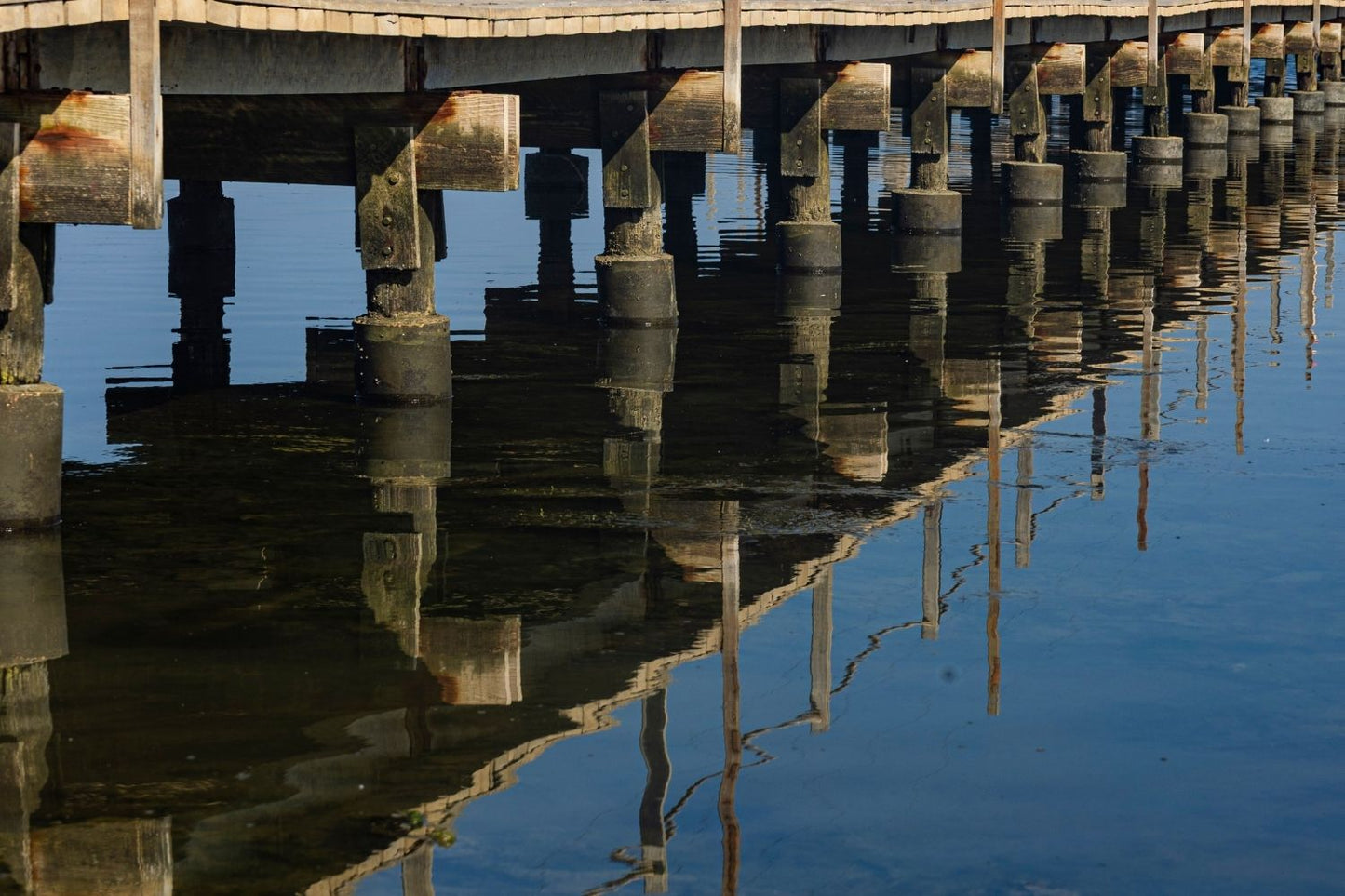 Muelle y reflejo