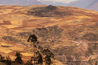 Valle Sagrado en Otoño