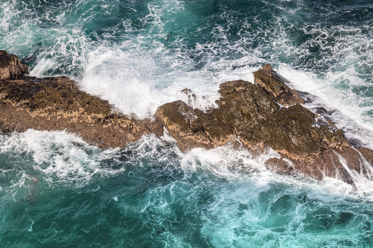 Rocas y Mares 1