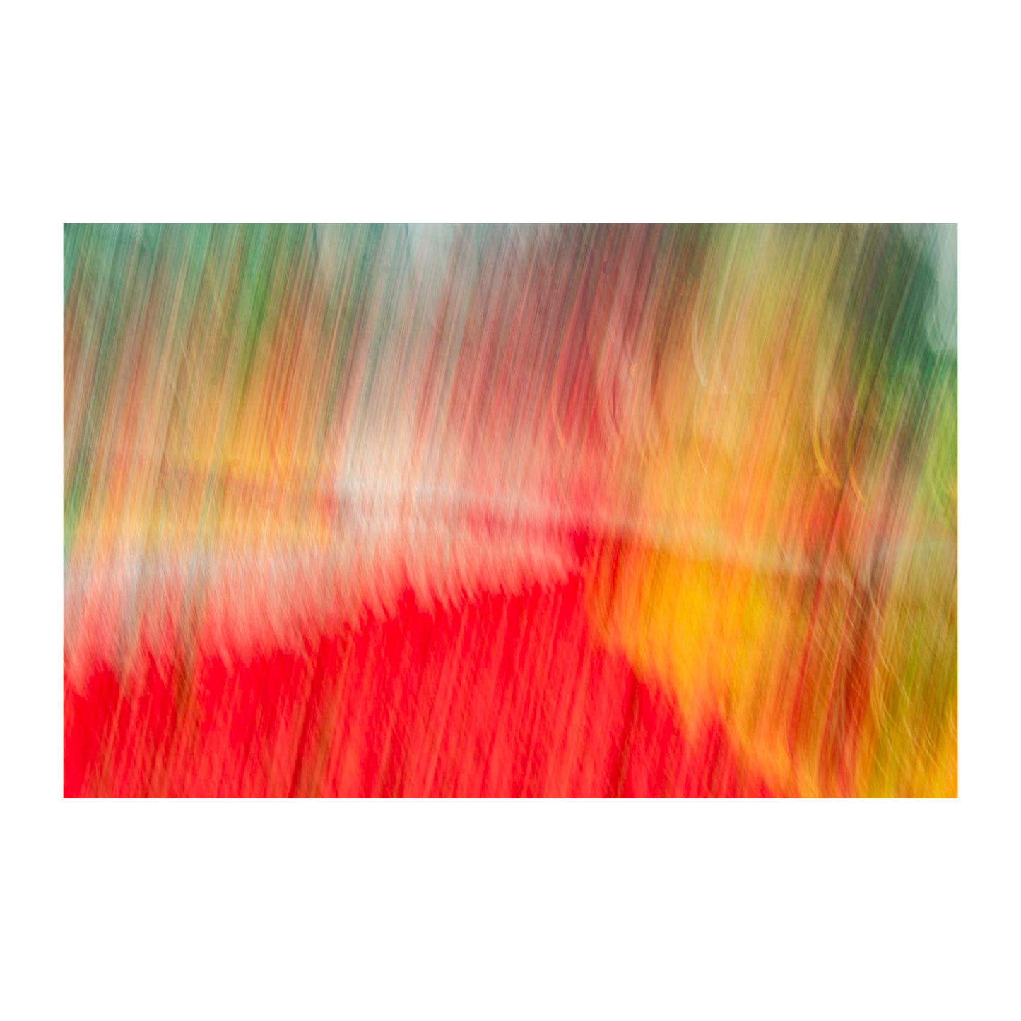 Abstracto flores ICM