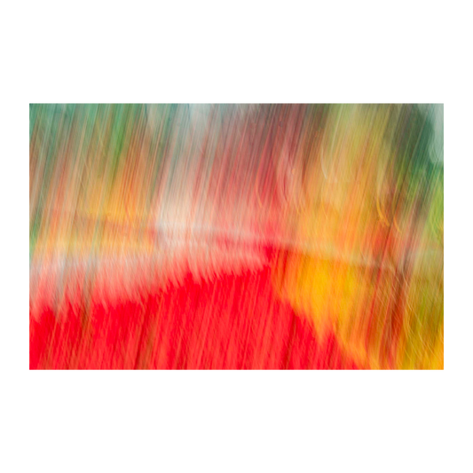 Abstracto flores ICM
