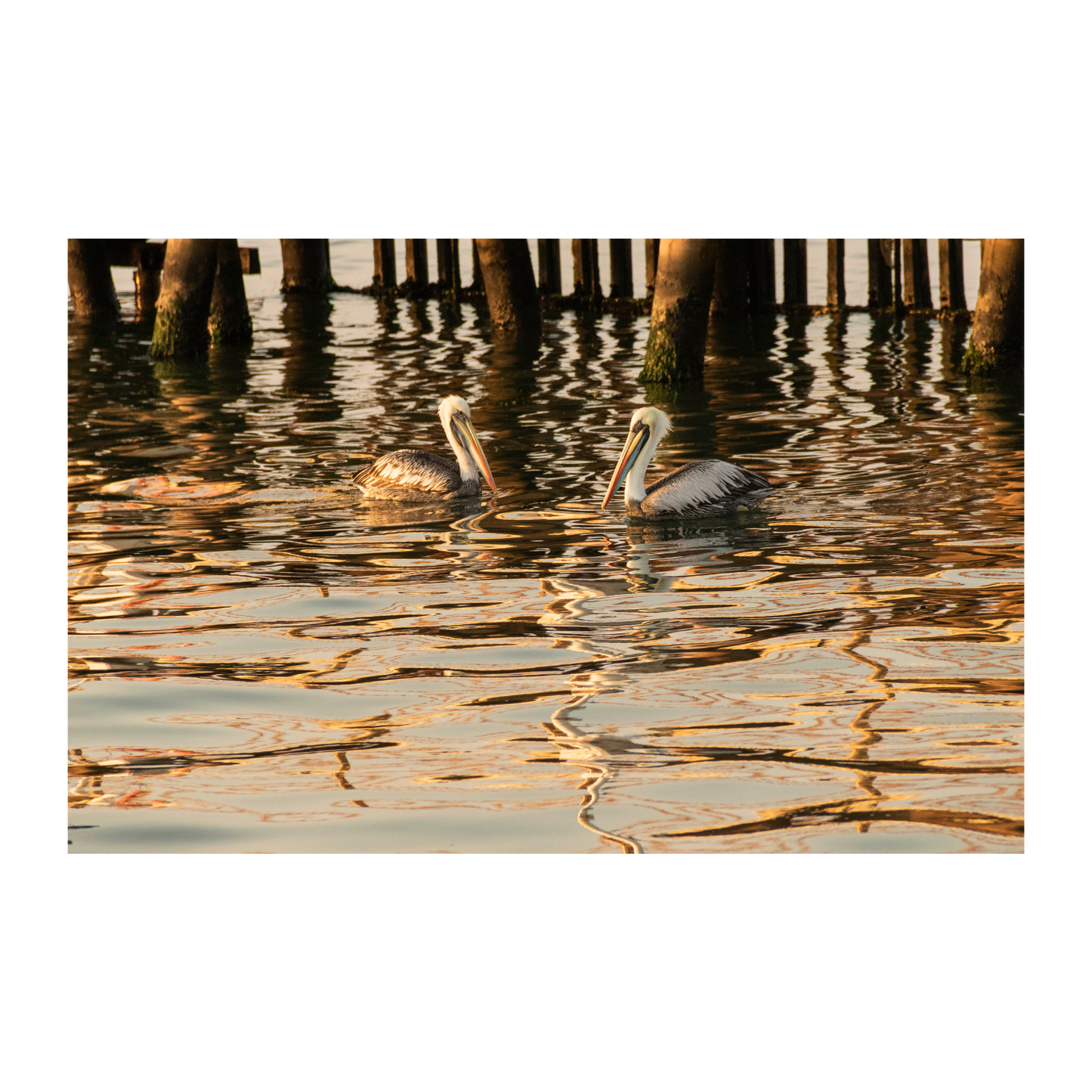 Atardecer en el muelle