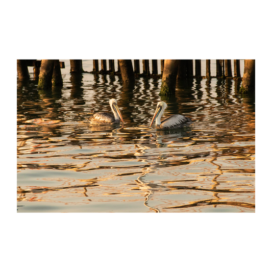 Atardecer en el muelle