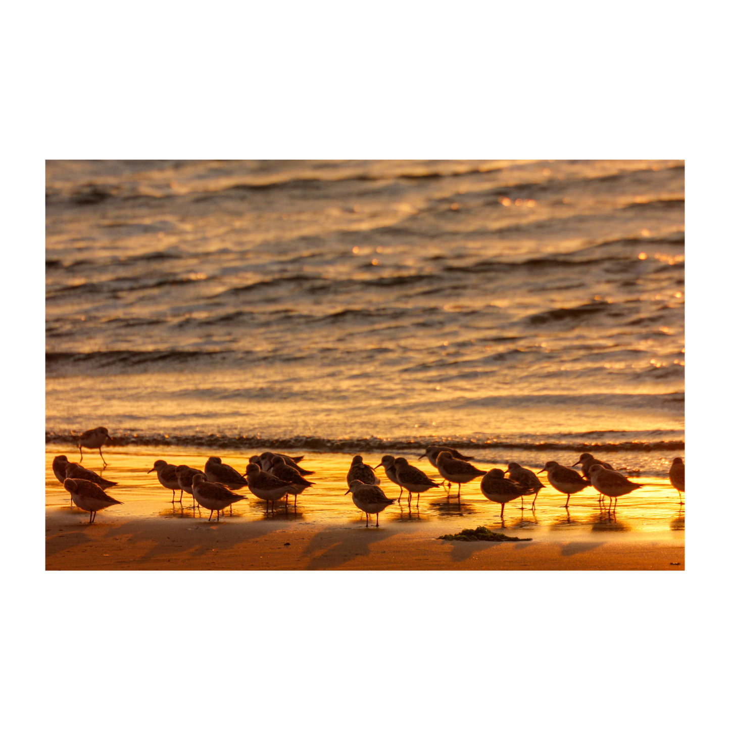 Atardecer en la playa