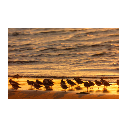 Atardecer en la playa