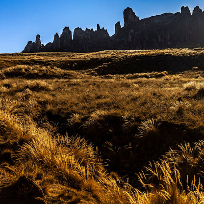 Bosque de Piedras Huayllay