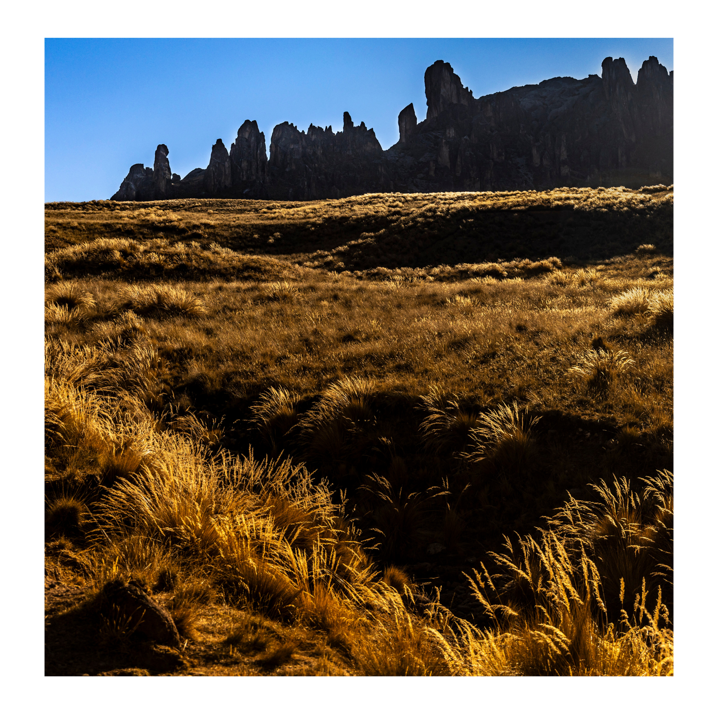 Bosque de Piedras Huayllay