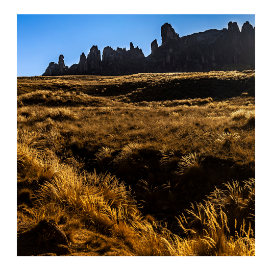 Bosque de Piedras Huayllay