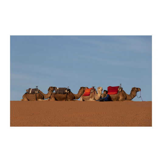 Desierto de Marruecos