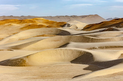 Dunas caminantes doradas