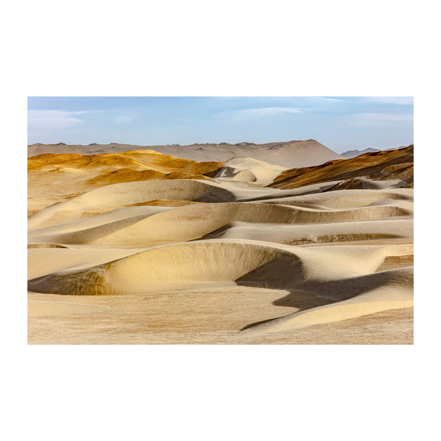 Dunas caminantes doradas