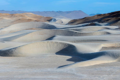Dunas caminantes plateadas