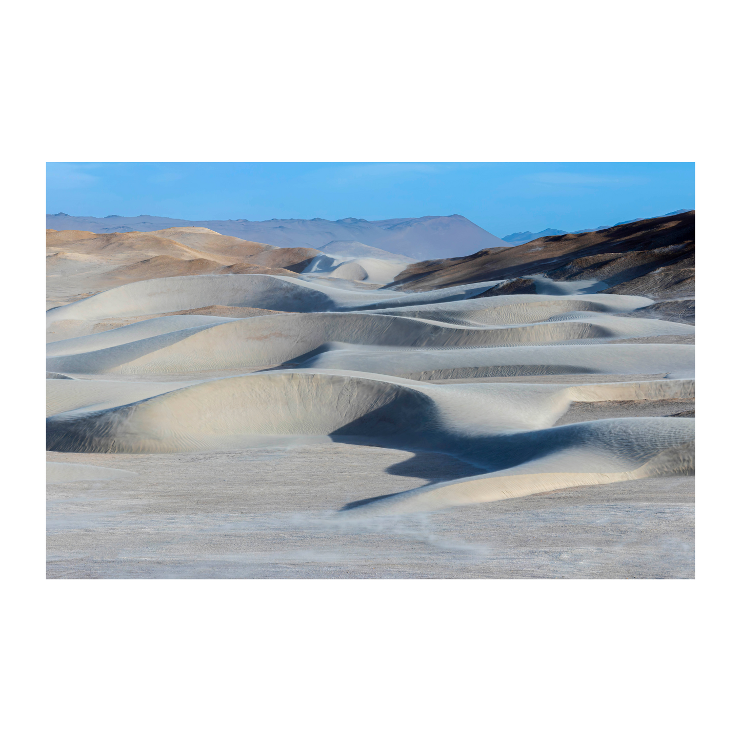 Dunas caminantes plateadas