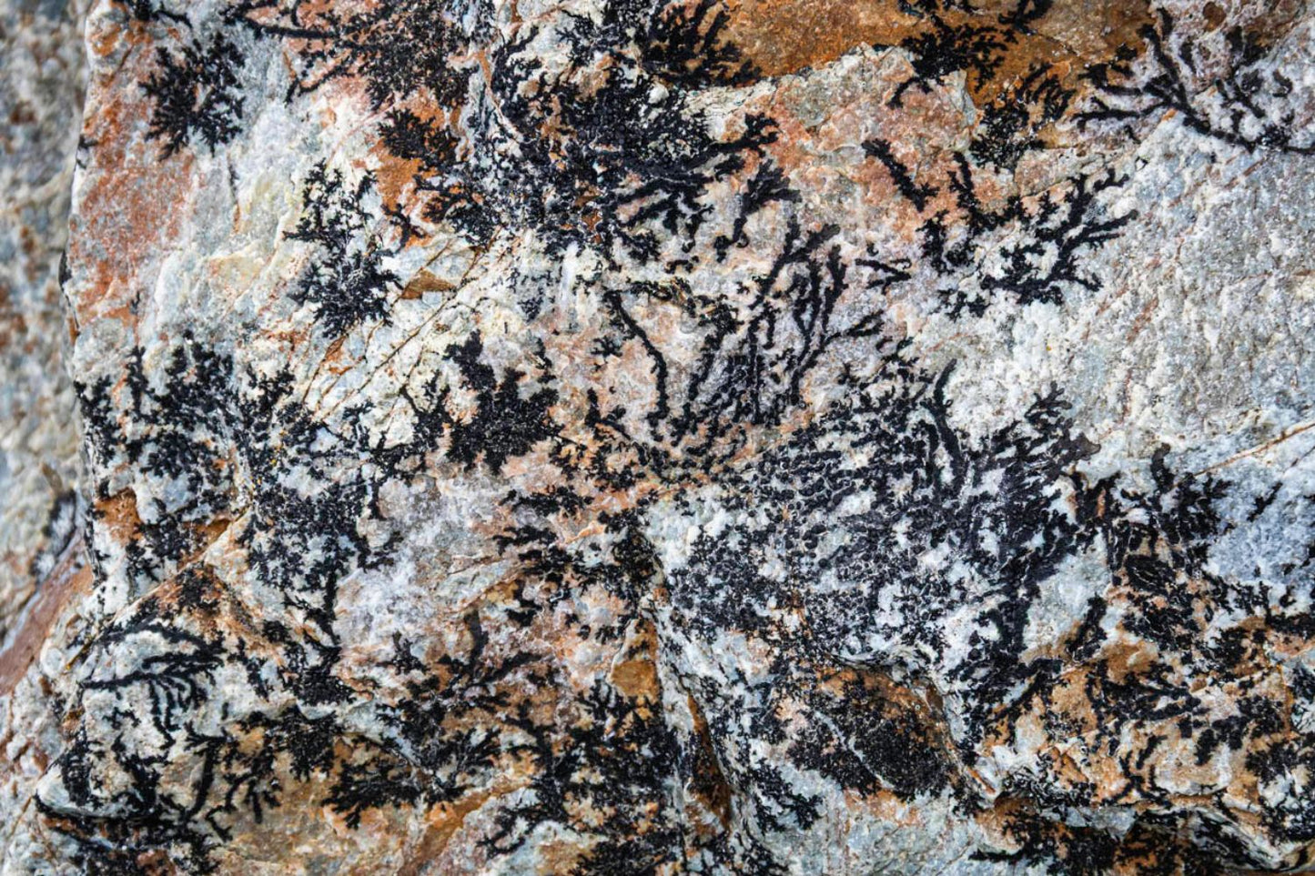 Impresiones en piedra