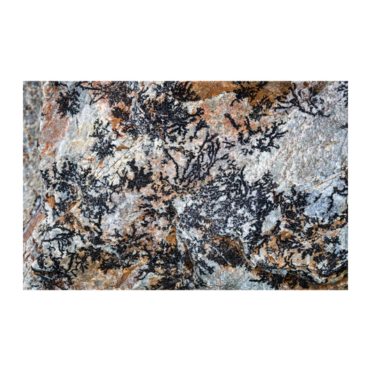 Impresiones en piedra