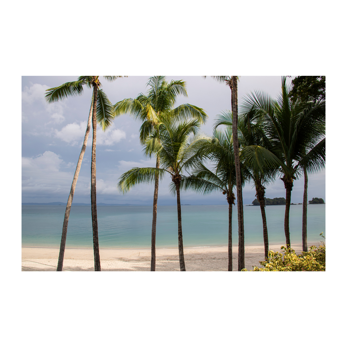 Isla Pedro Gonzales, Panamá