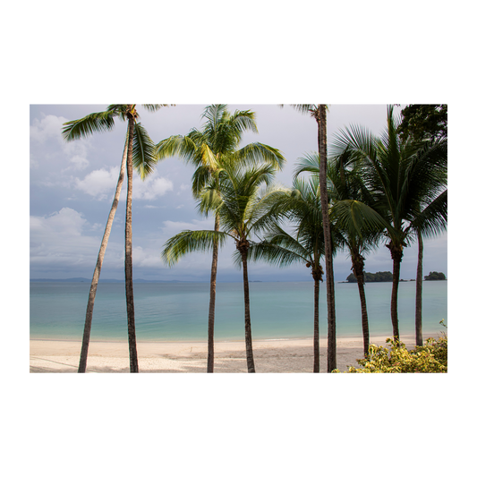 Isla Pedro Gonzales, Panamá