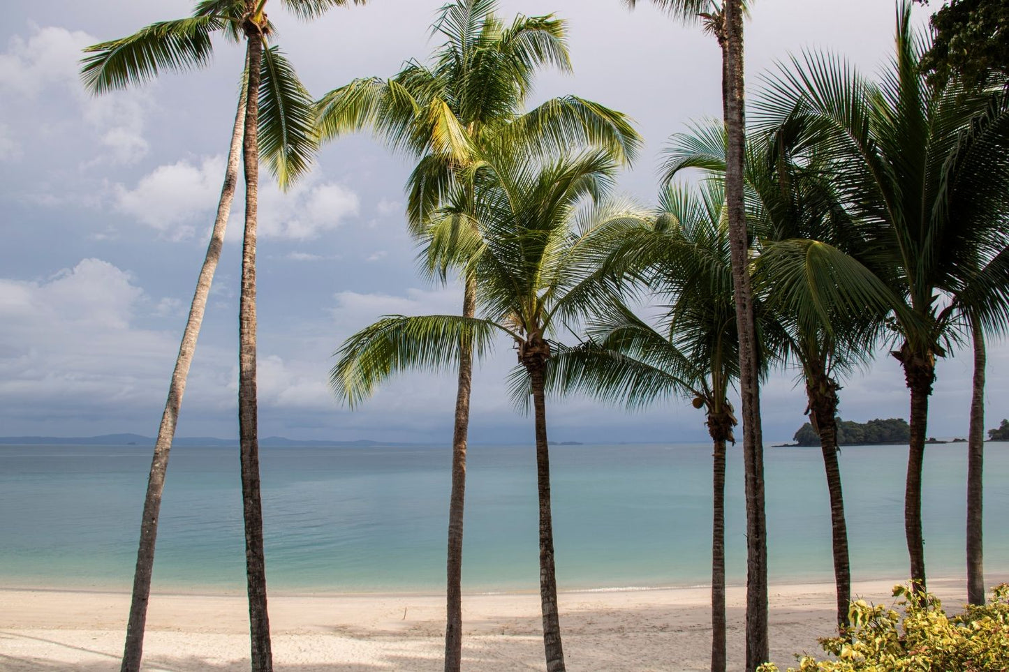 Isla Pedro Gonzales, Panamá