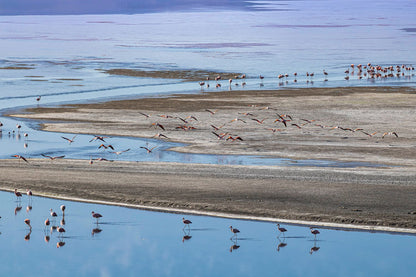 Laguna Uyuni