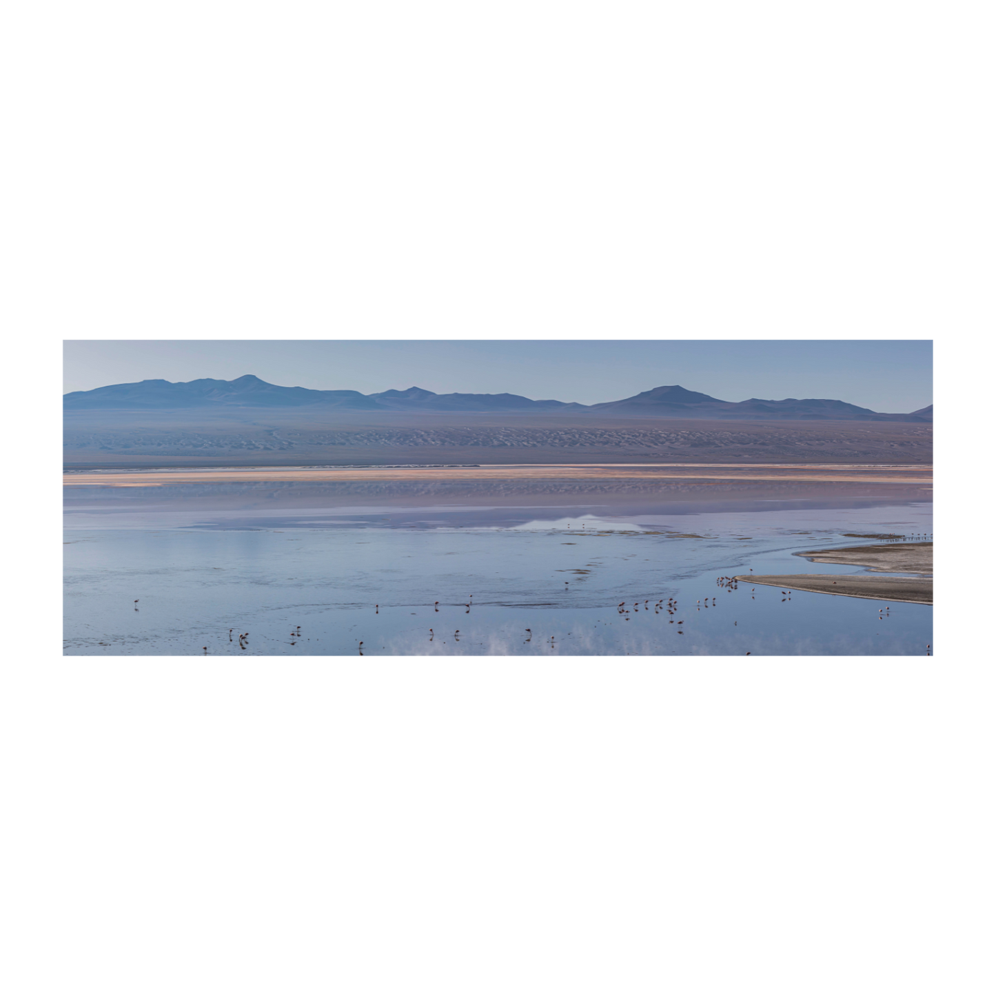 Laguna con flamencos Bolivia