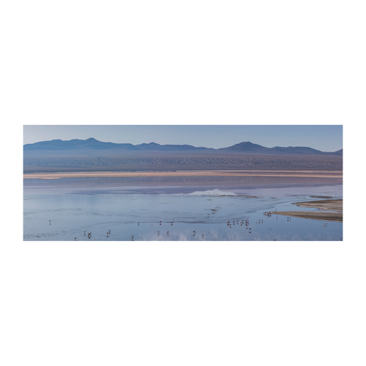 Laguna con flamencos Bolivia