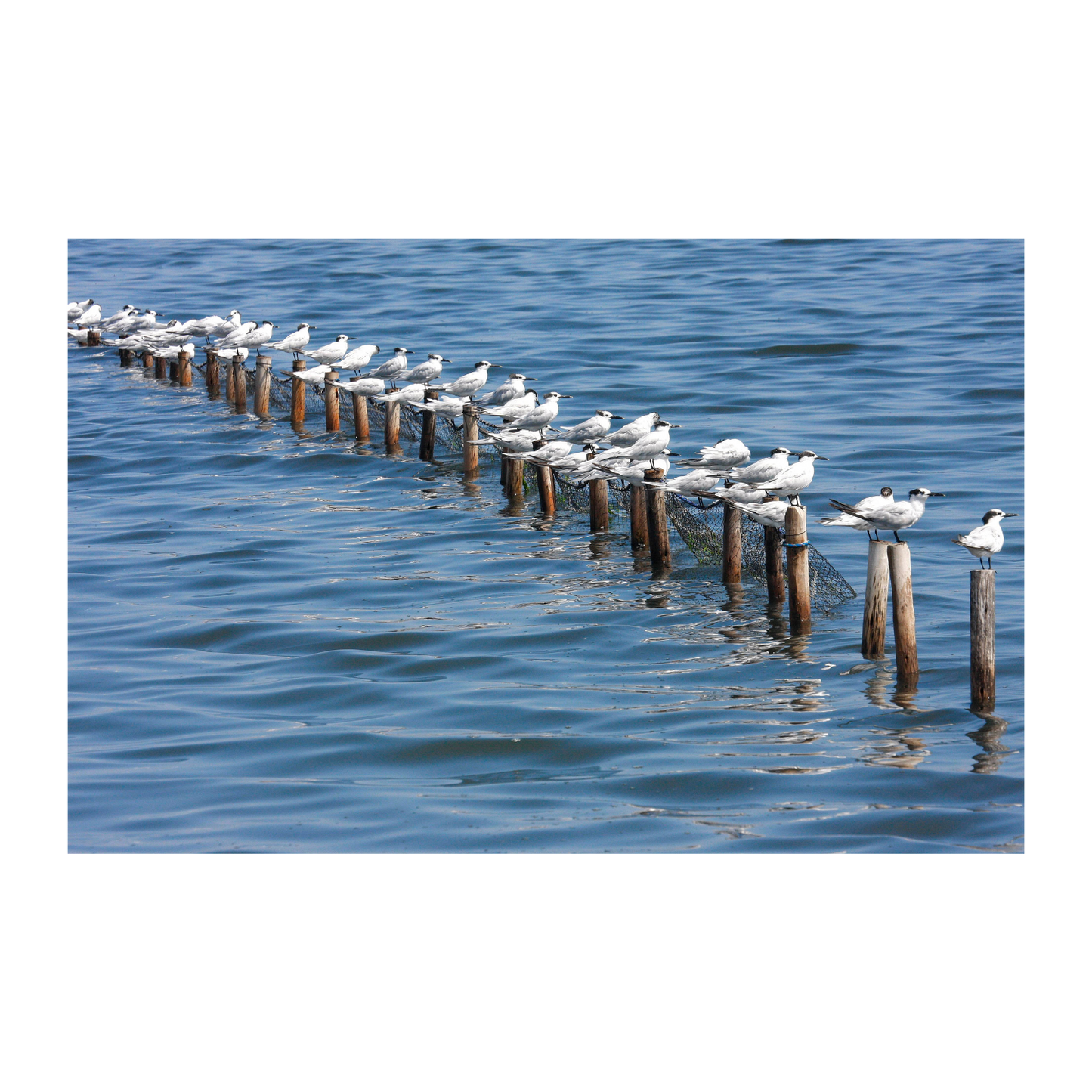 Mirando al horizonte