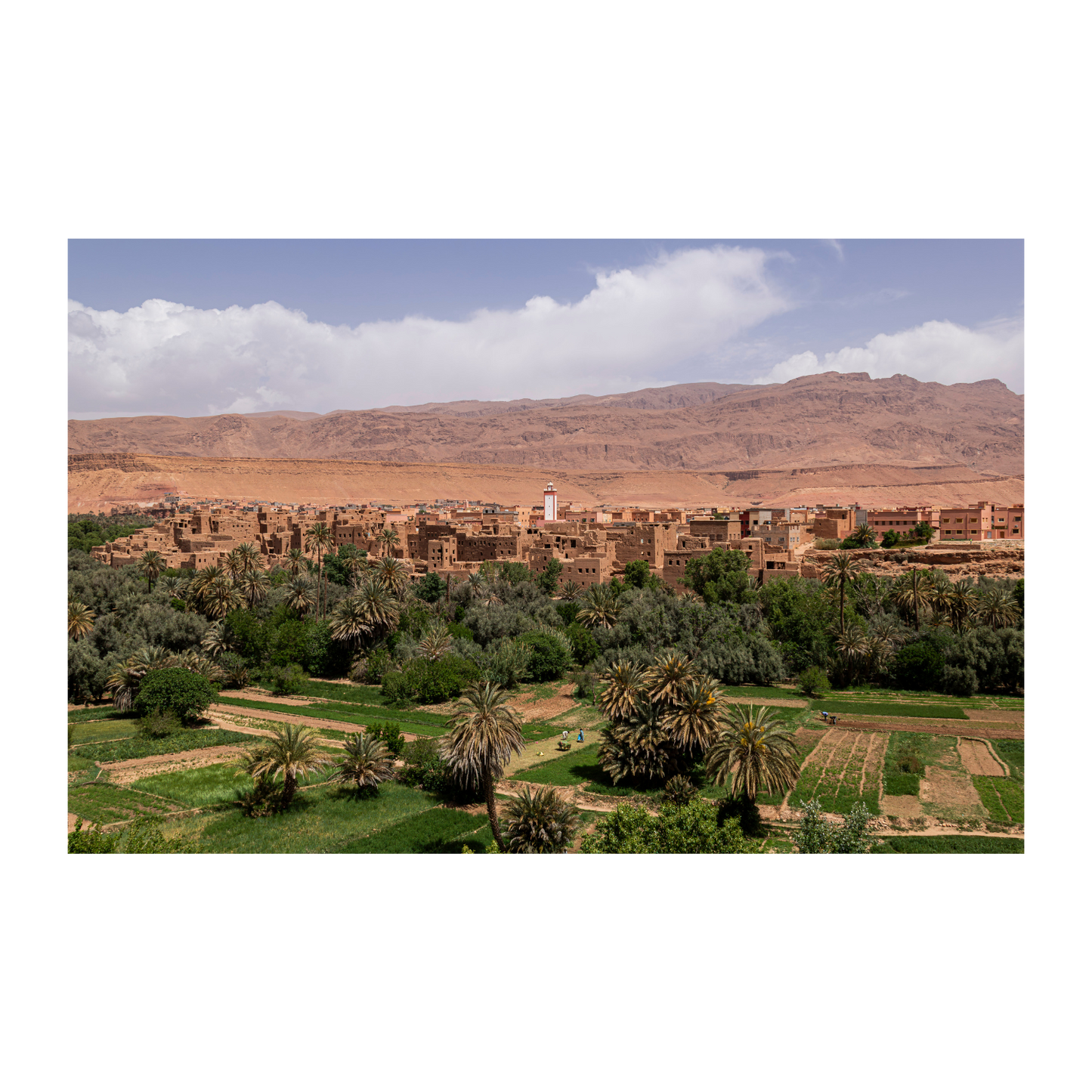 Oasis Marruecos