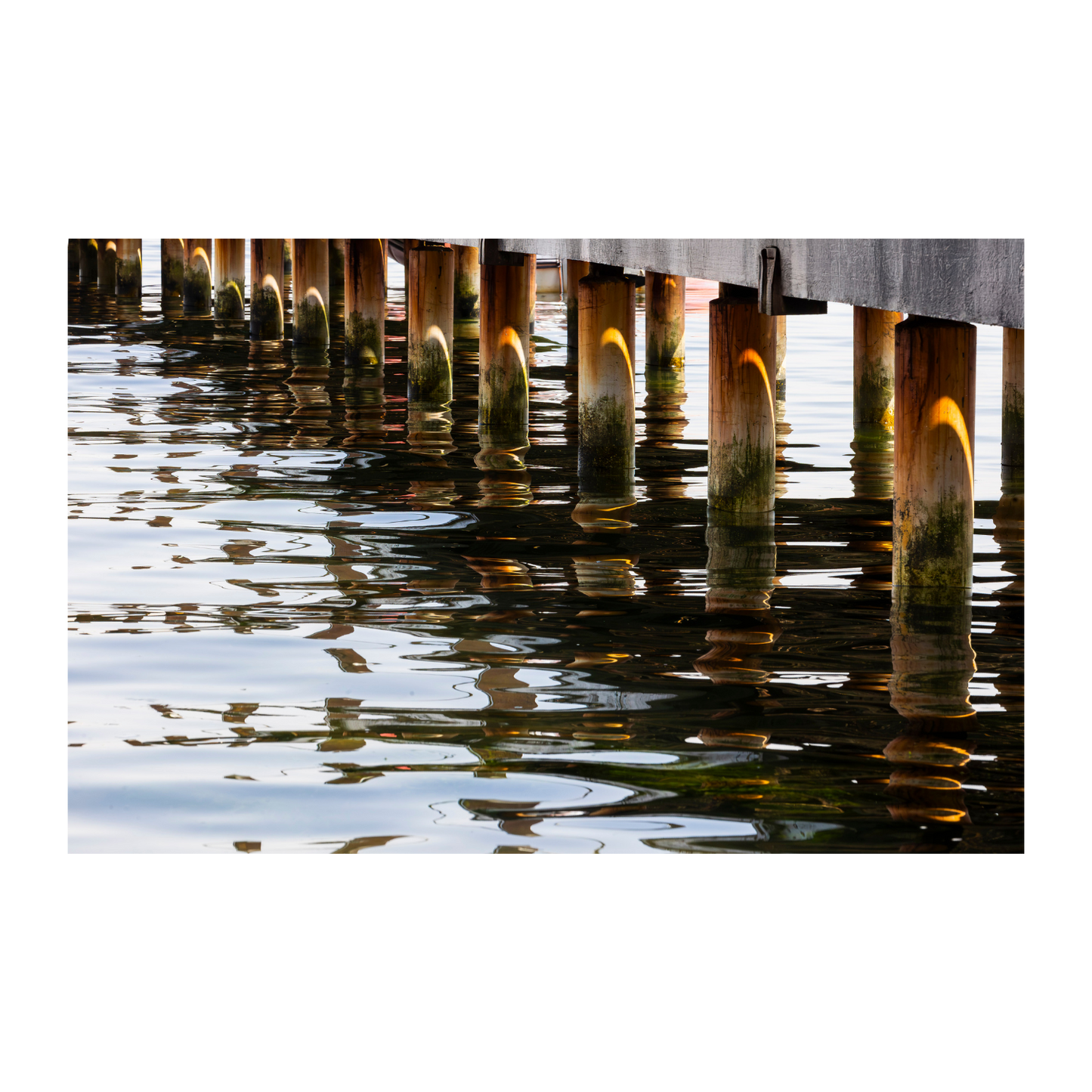 Reflejos del muelle