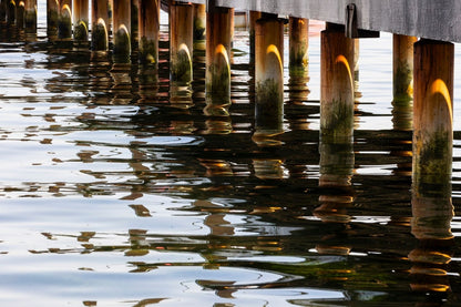 Reflejos del muelle