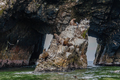 Reserva Nacional Paracas