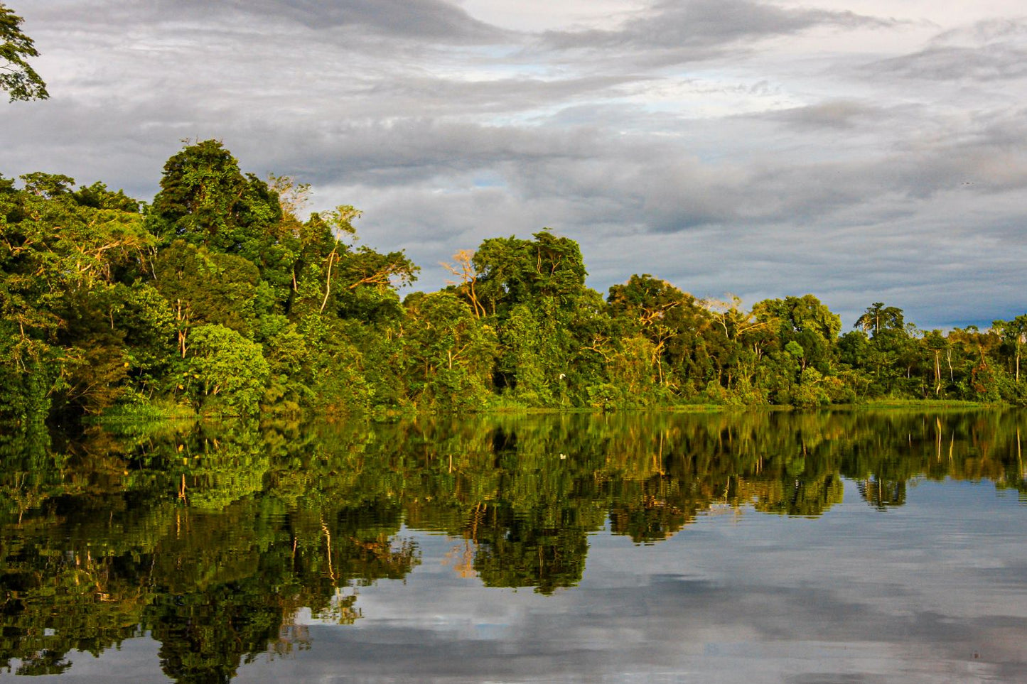 Reserva Pacaya Samiria